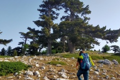 Ultime risalite verso Serra di Crispo