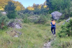 Alessio risalendo nel bosco