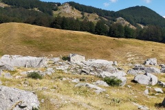 Piana del Rifugio del Monte